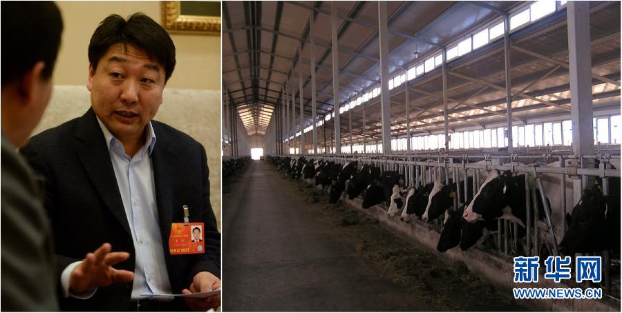 （两会·影像链接）董辉代表建议：奶牛饲养应向标准化牧场模式快速转移