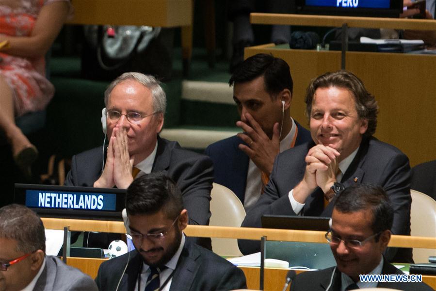Karel van Oosterom(L, 2nd row), permanent representative of Netherlands to the United Nations and Bert Koenders(R, 2nd row), foreign minister of Netherlands, wait for the result during the election of non-permanent members of UN Security Council at the UN headquarters in New York, June 28, 2016.