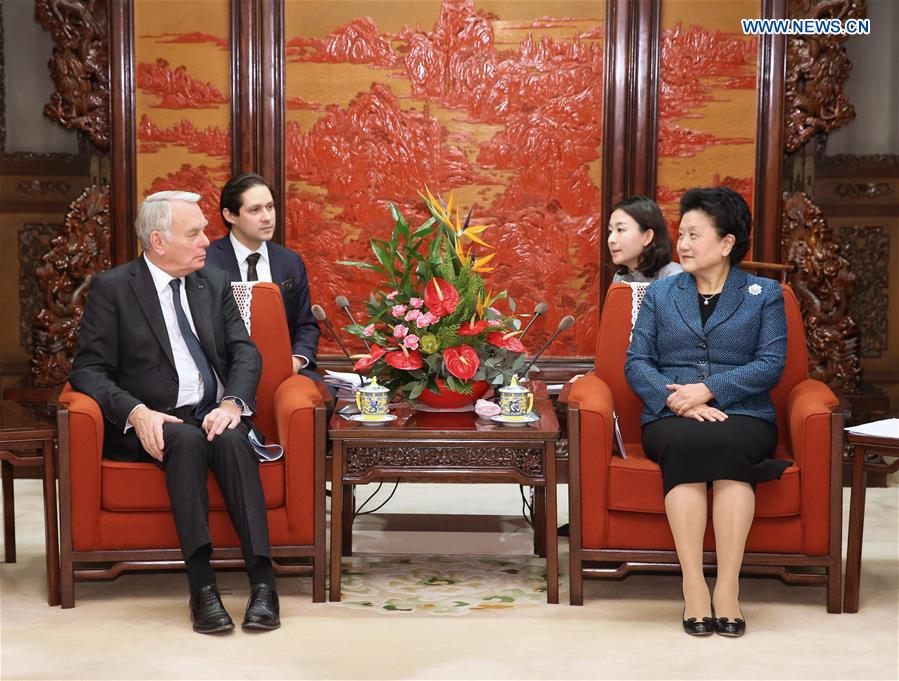 CHINA-BEIJING-LIU YANDONG-FRANCE-MEETING (CN)