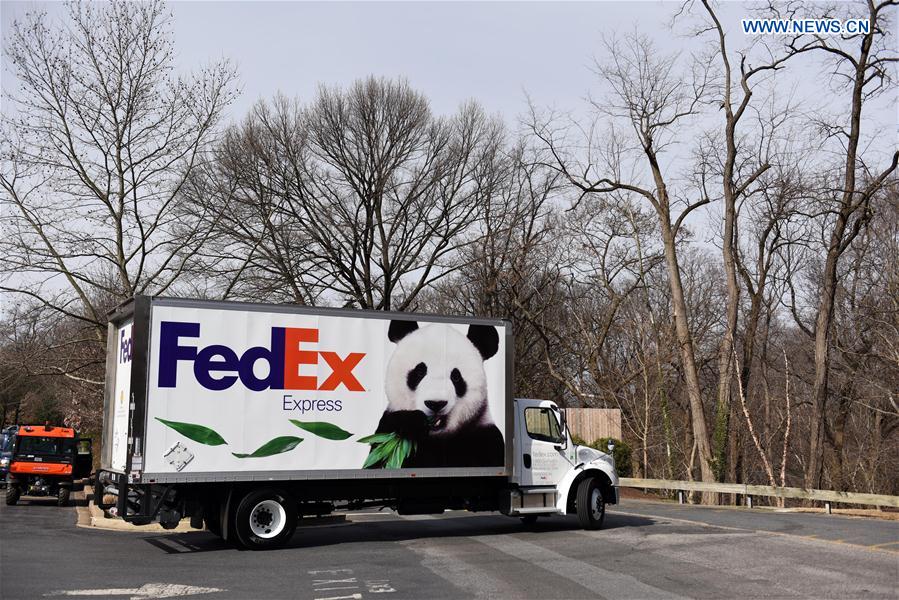 The truck carrying giant panda Bao Bao leaves the zoo to airport, in Washington D.C., the United States, Feb. 21, 2017. 