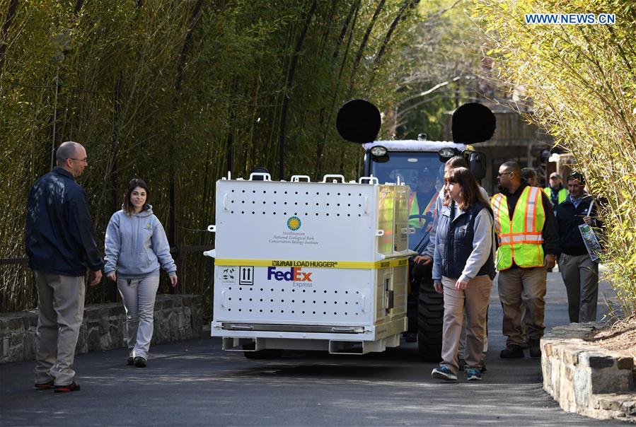 Animal keepers of Smithsonian's National Zoo escort the crate of giant panda Bao Bao when leaving the zoo en route back to China, in Washington D.C., the United States, Feb. 21, 2017. 