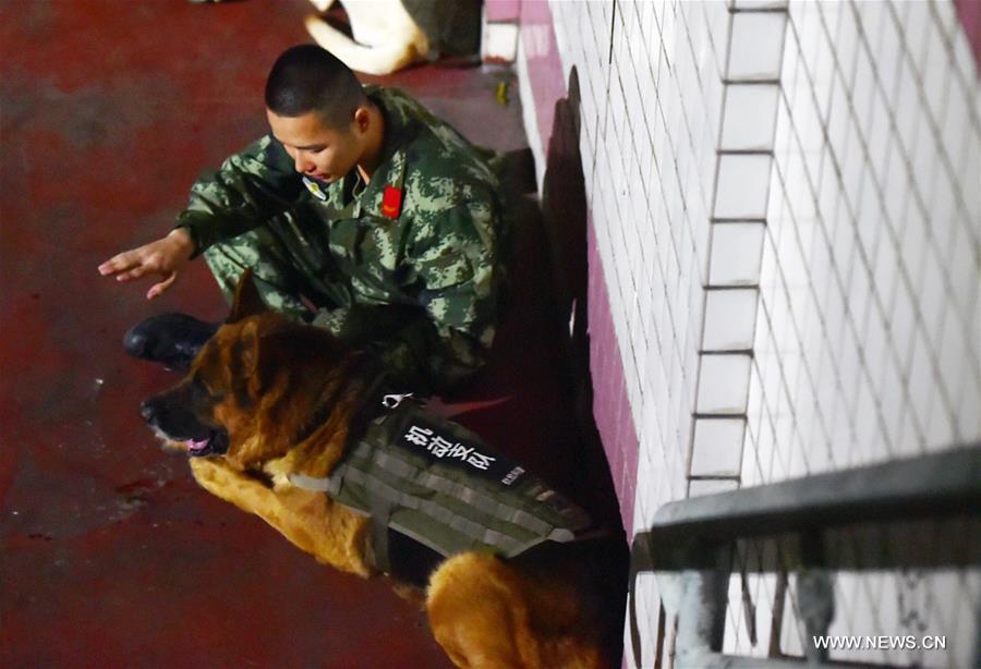 #CHINA-GUANGDONG-POLICE DOG-NIGHT TRAINING (CN)