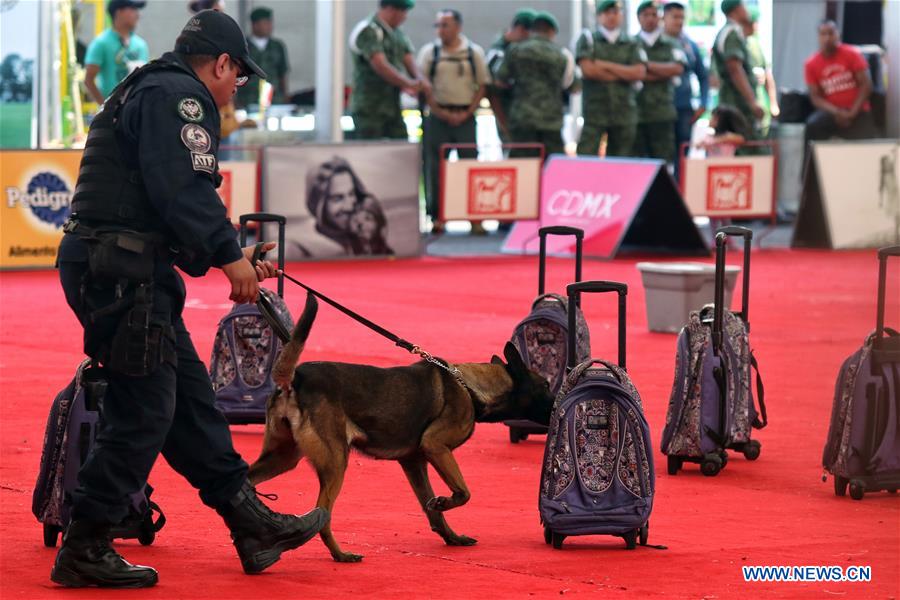 MEXICO-MEXICO CITY-DOGS-DRUG DETECTION