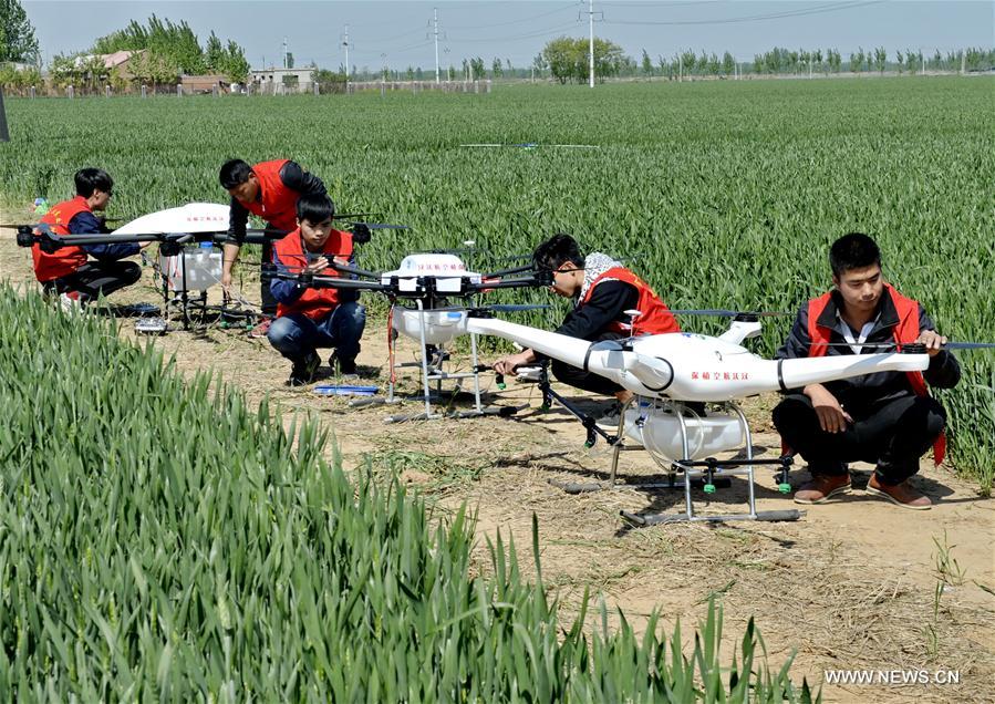 CHINA-HEBEI-DRONE-PESTICIDE (CN)