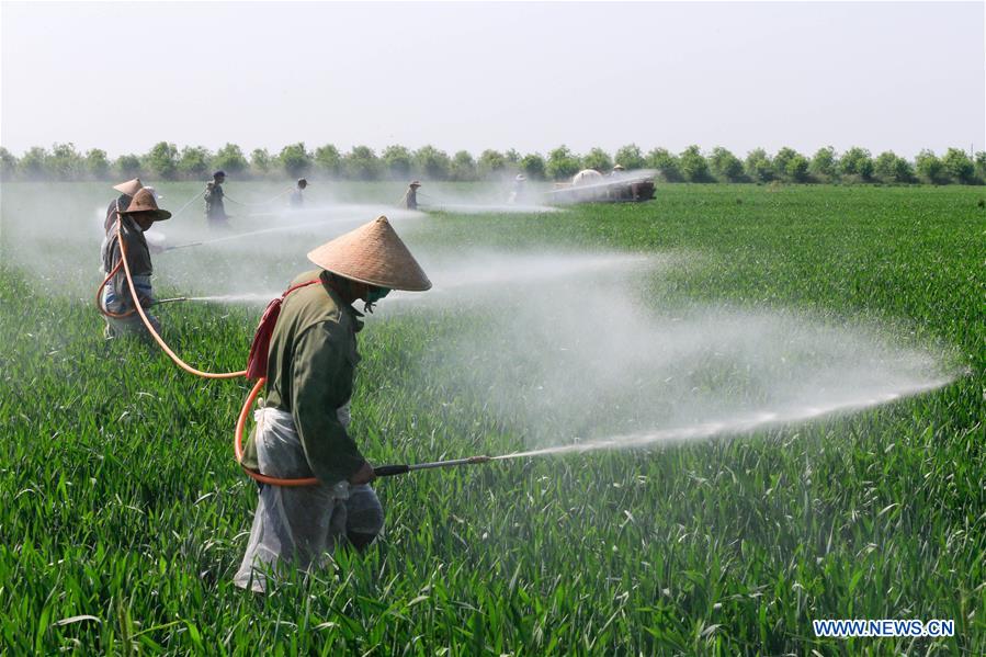 #CHINA-JIANGSU-XUYI-FARM WORK (CN)