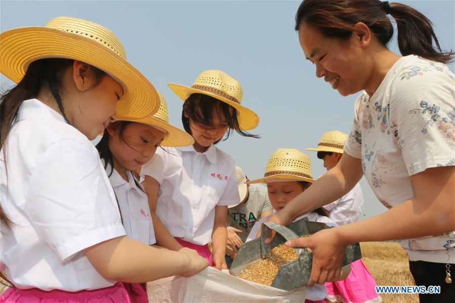 #CHINA-HEBEI-STUDENTS-FARMING (CN)