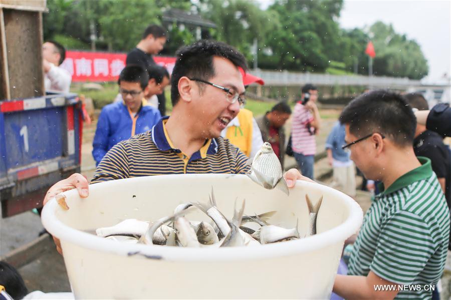 #CHINA-HUNAN-CHANGSHA-FISH FRY-RELEASE (CN*)