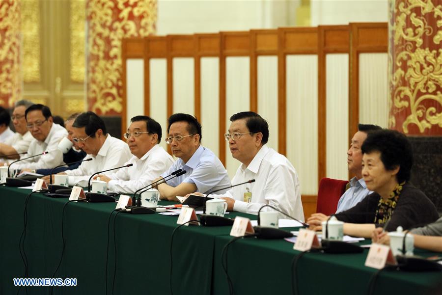 CHINA-BEIJING-NPC STANDING COMMITTEE-JOINT INQUIRY(CN)