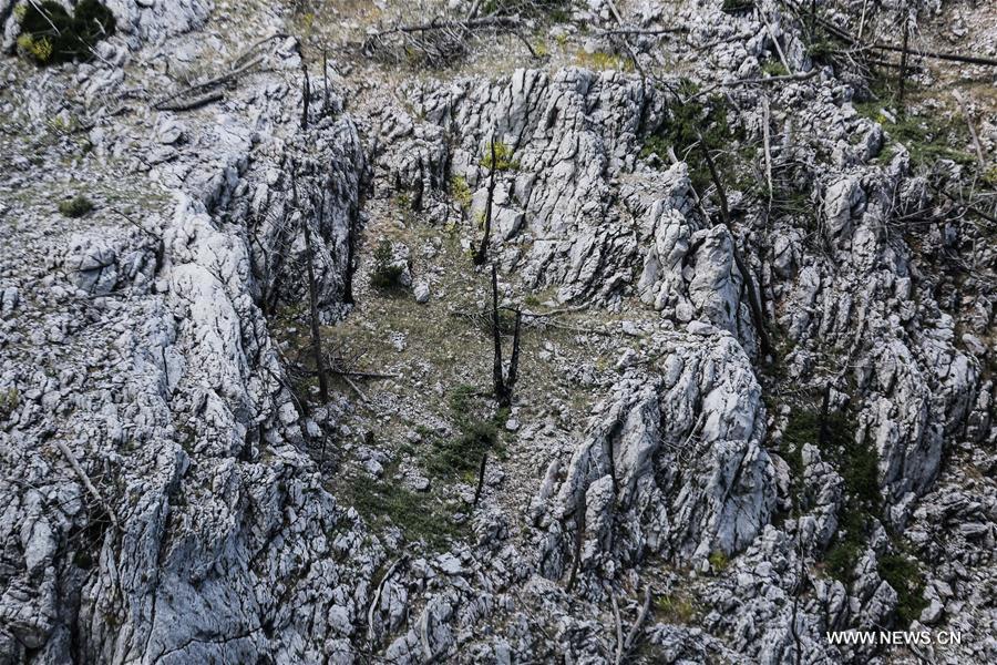 GREECE-PARNITHA'S MOUNTAIN NATIONAL PARK-WWF HELLAS-REFORESTATION