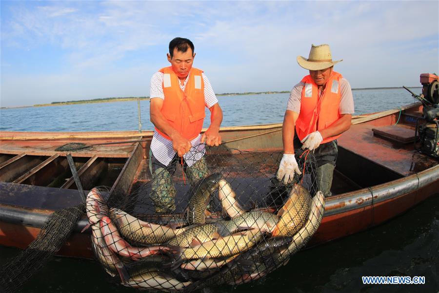#CHINA-XINJIANG-BOSTAN LAKE-FISHING (CN)