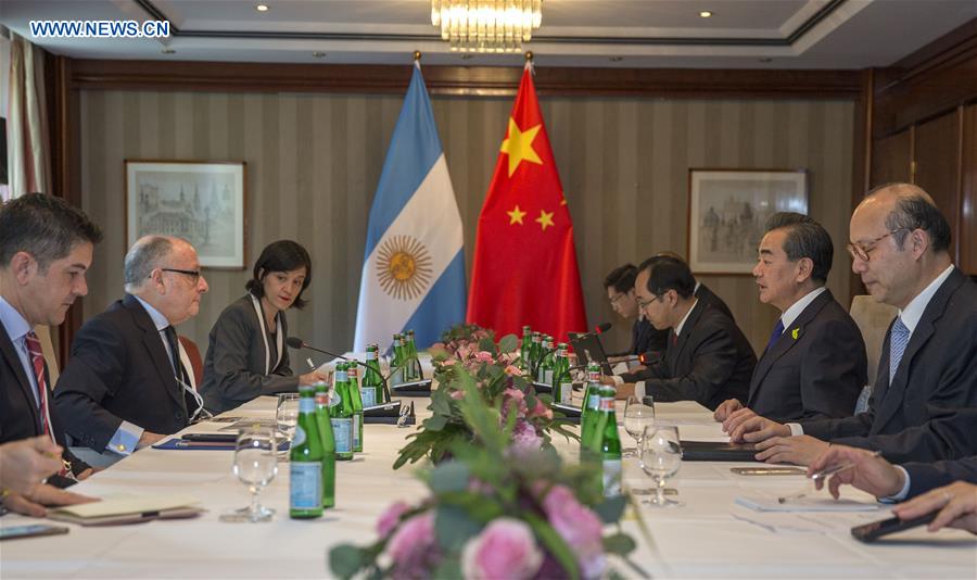 China supports Argentina hosting G20 summit 