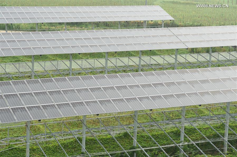 CHINA-FUJIAN-AGRICULTURE-SOLAR GREENHOUSE(CN)