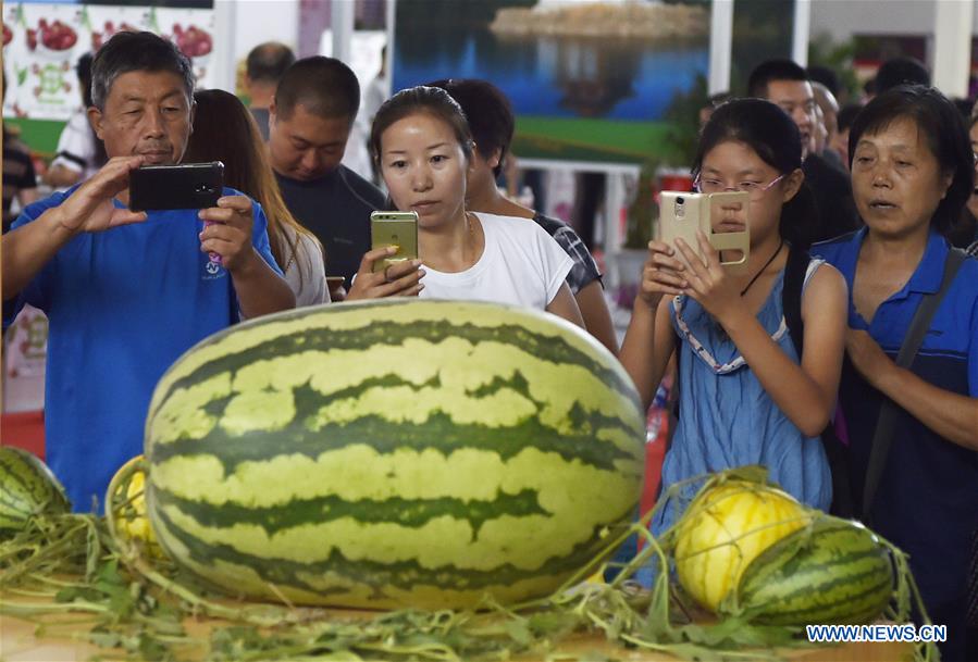 CHINA-LIAONING-AGRICULTURAL EXPO(CN)