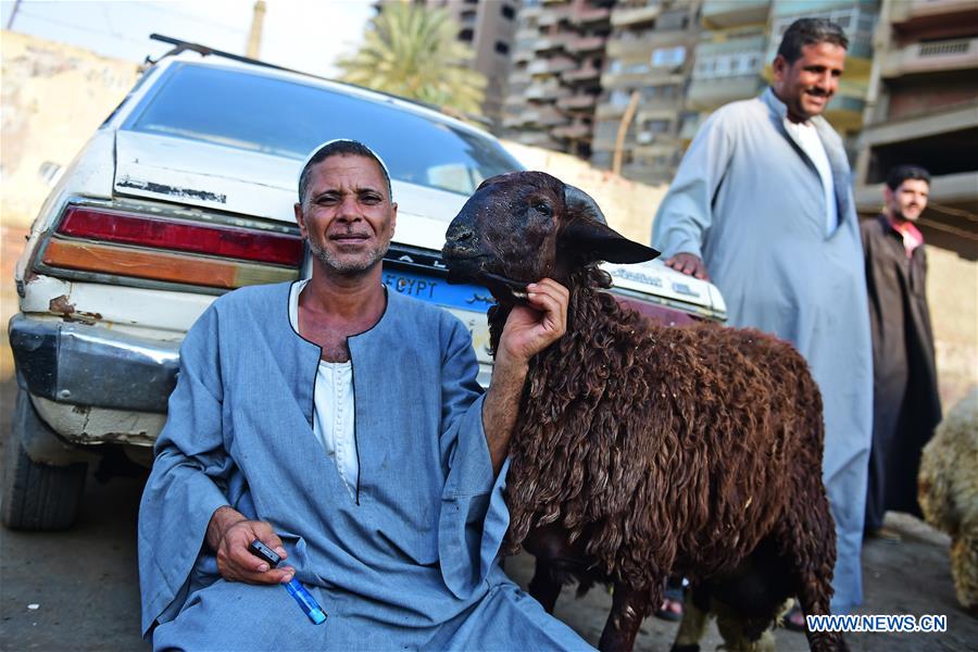 EGYPT-CAIRO-EID AL-ADHA-LIVESTOCK MARKET