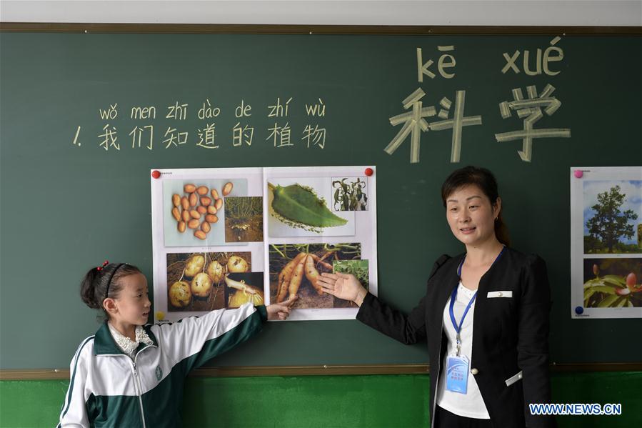 #CHINA-HEBEI-PRIMARY SCHOOL-SCIENCE COURSE (CN)