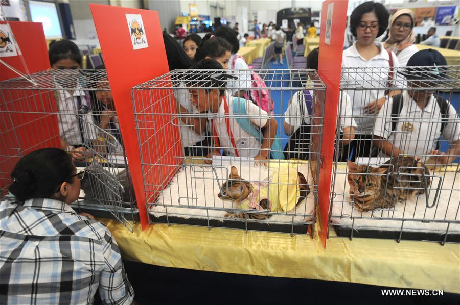 INDONESIA-SOUTH TANGERANG-PETS EXPO