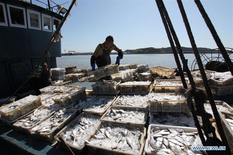 #CHINA-SHANDONG-WEIHAI-FISHING (CN)