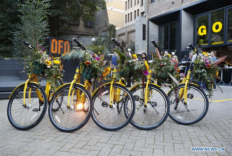 China's bike-sharing company ofo to increase b
