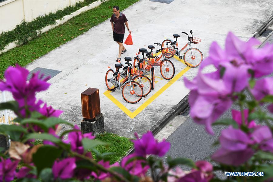 SINGAPORE-SHARED BICYCLES
