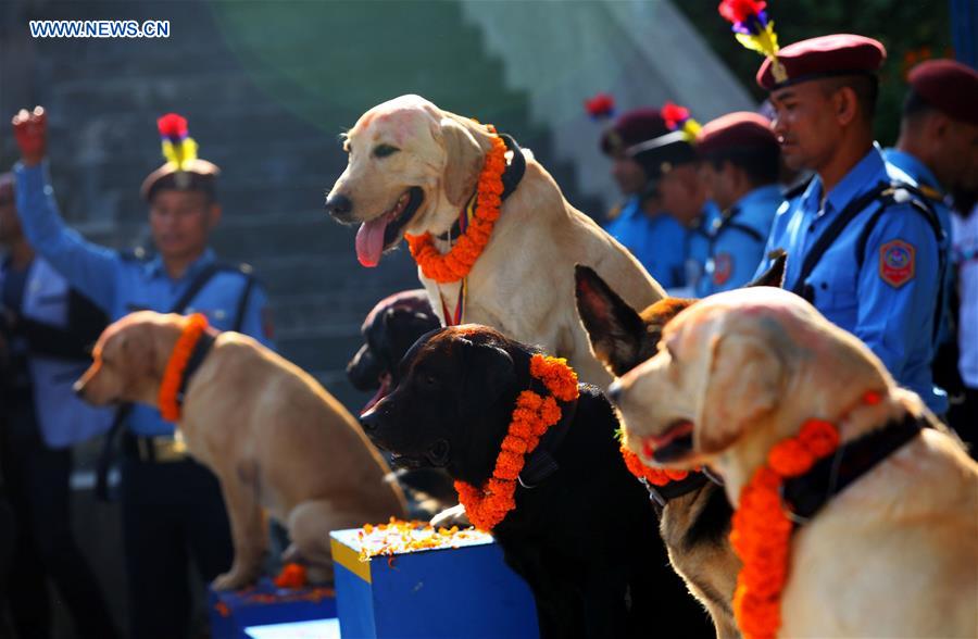 NEPAL-KATHMANDU-TIHAR FESTIVAL-DOG WORSHIPPING DAY
