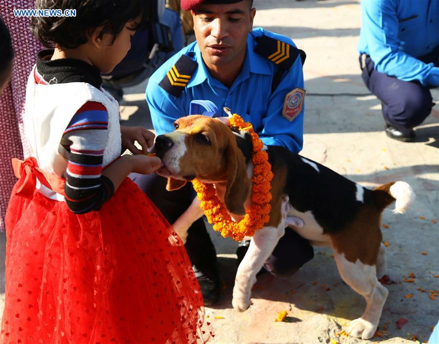 NEPAL-KATHMANDU-TIHAR FESTIVAL-DOG WORSHIPPING DAY