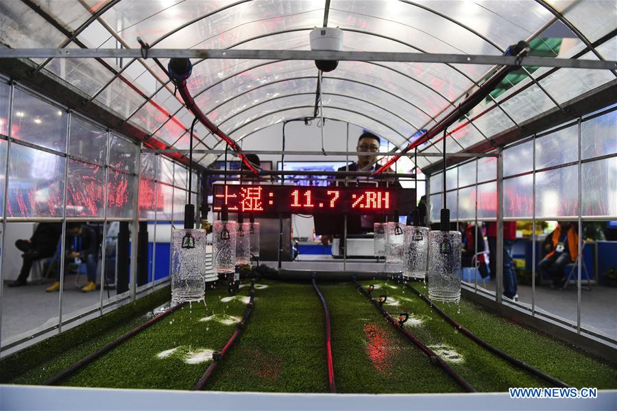 CHINA-JIANGSU-AGRICULTURE-EXPO (CN)