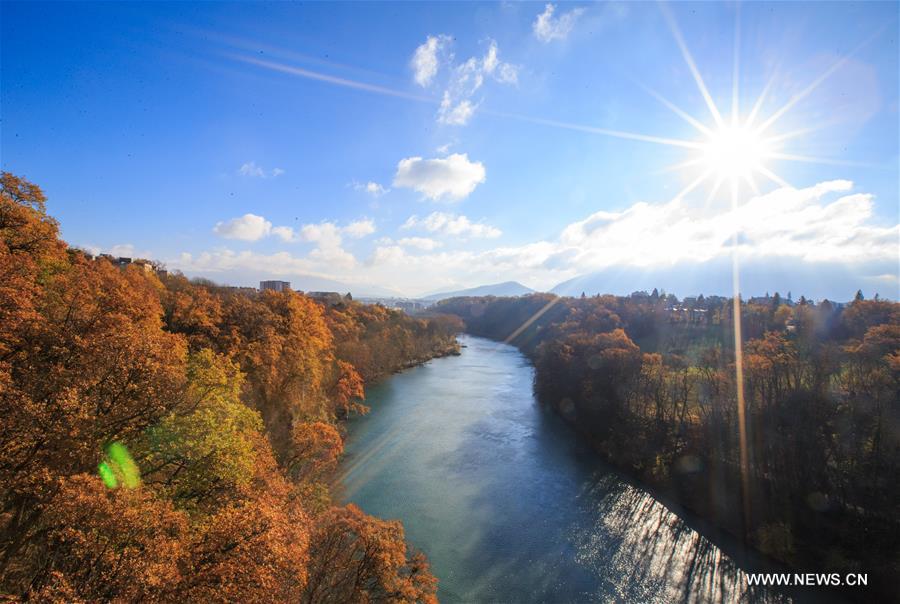 Late autumn scenery in Rhone River valley in G