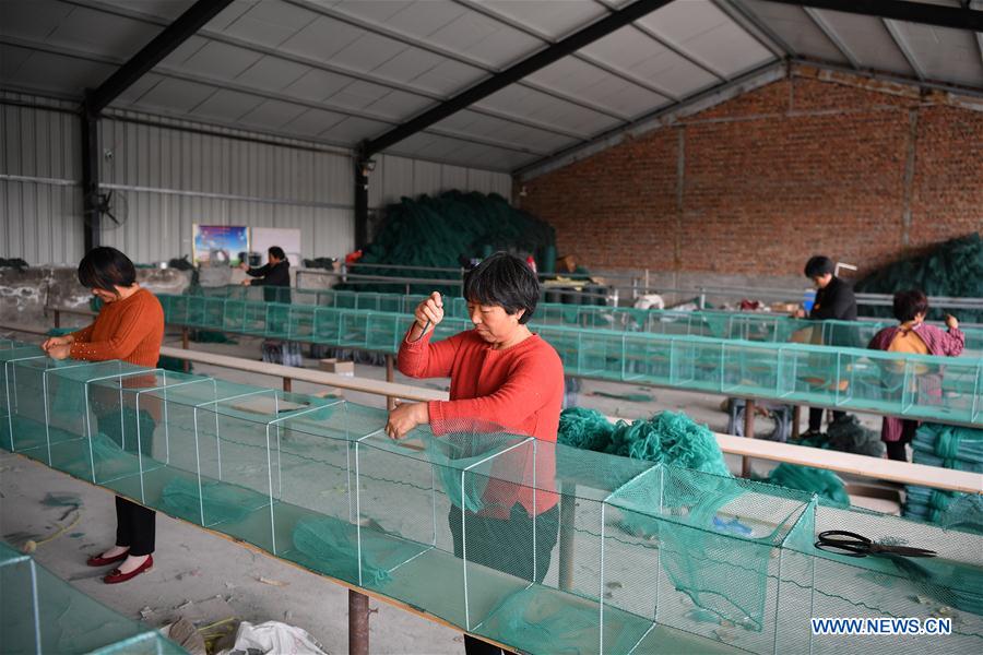 CHINA-HENAN-POVERTY ALLEVIATION-MIGRANT WORKERS' WIVES (CN)
