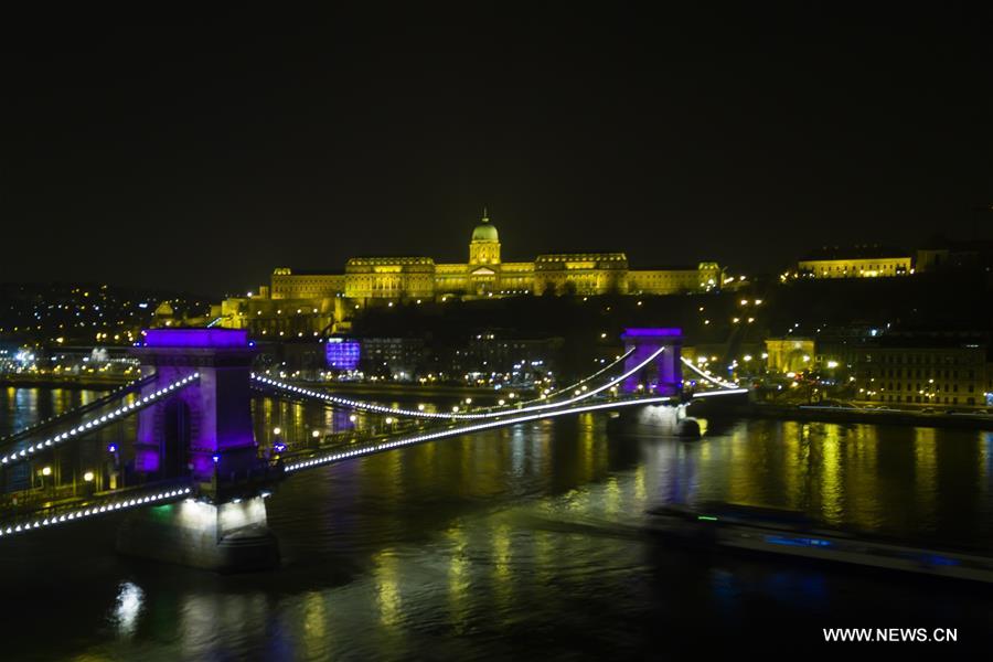 HUNGARY-BUDAPEST-PURPLE LIGHT-WORLD PREMATURITY DAY