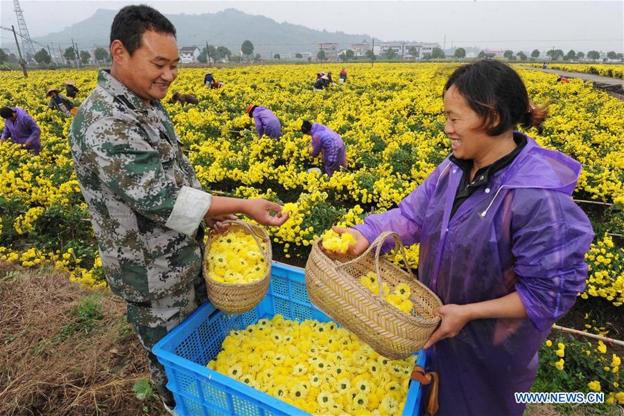 CHINA-ZHEJIANG-AGRICULTURAL INDUSTRY-INVESTMENT (CN)