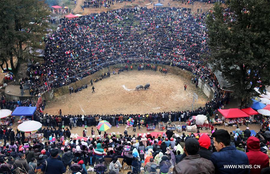 #CHINA-GUIZHOU-BULLFIGHTING (CN)