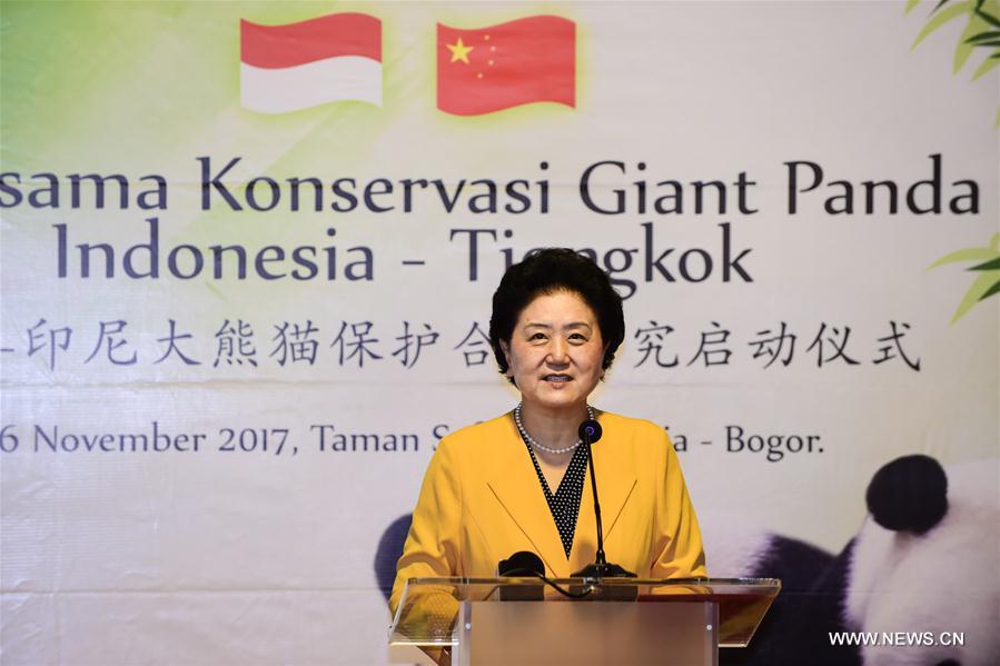 Visiting Chinese Vice Premier Liu Yandong speaks during the inauguration ceremony of the China-Indonesia Giant Pandas Conservation Partnership Program in a zoo at Bogor, Indonesia, Nov. 26, 2017. Image: Xinhua/Du Yu