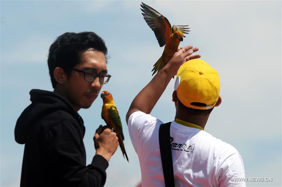 INDONESIA-SOUTH TANGERANG-PARROTS-COMPETITION