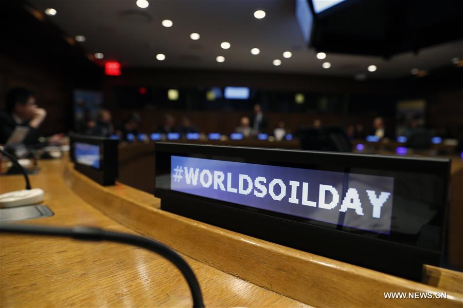 UN-WORLD SOIL DAY-CONFERENCE