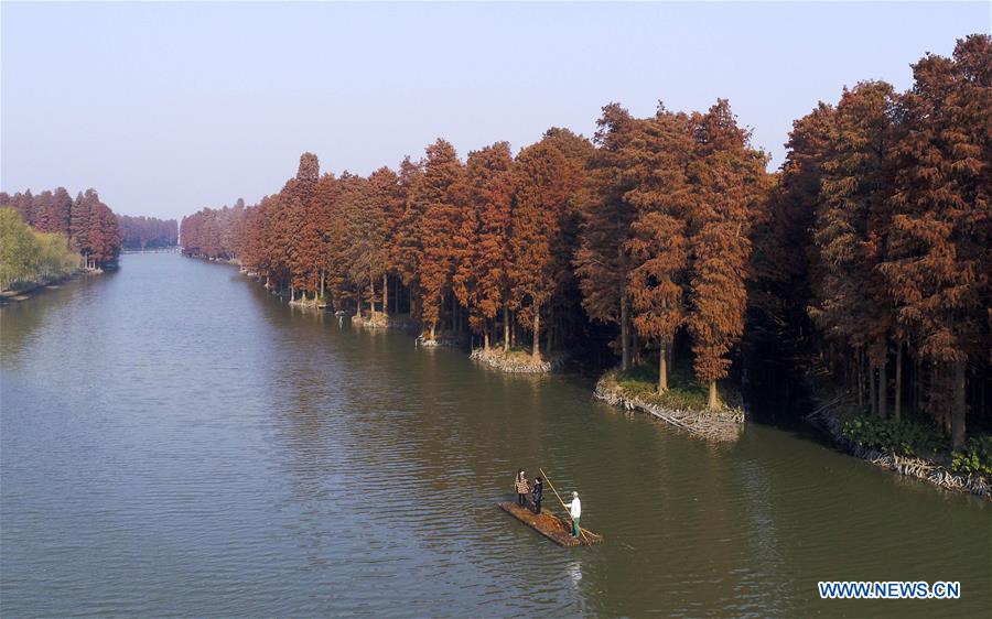 #CHINA-JIANGSU-XINGHUA-WATER FOREST (CN)