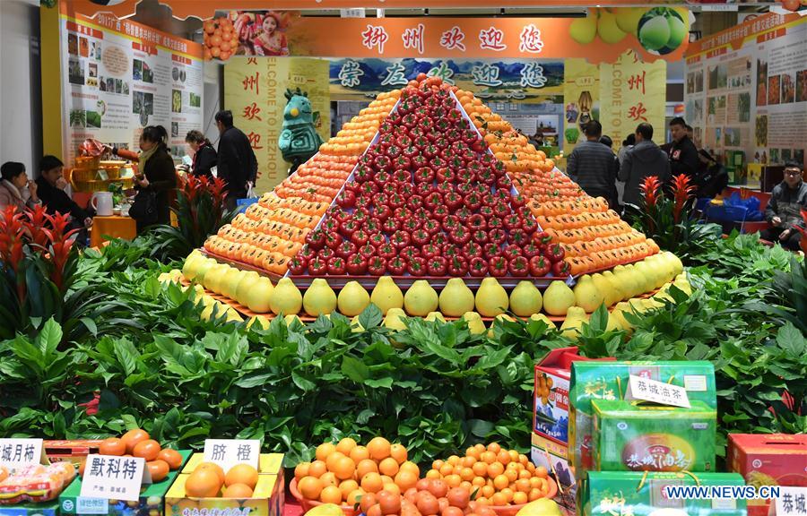 CHINA-NANNING-AGRICULTURE FAIR (CN)