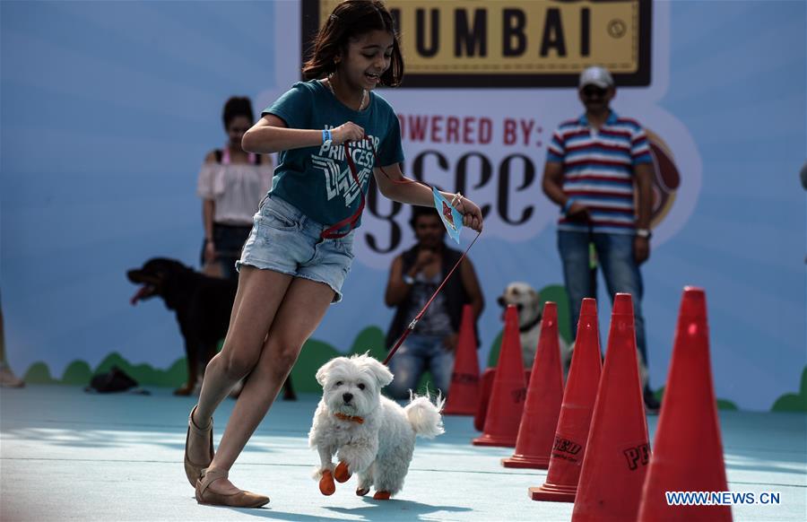 INDIA-MUMBAI-PET FESTIVAL-DOGS