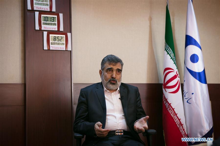 IRAN-TEHRAN-ATOMIC ENERGY ORGANIZATION OF IRAN-SPOKESMAN-INTERVIEW