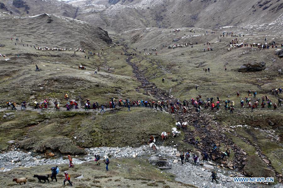 Nepalese people search for yarsagumba at the Pupal valley of Rukum district, Nepal, May 28, 2016.