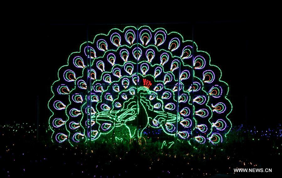 Colorful lights are displayed at an LED light festival in Linfen City, north China's Shanxi Province, June 3, 2016