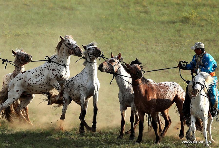 #CHINA-INNER MONGOLIA-HORSES(CN)