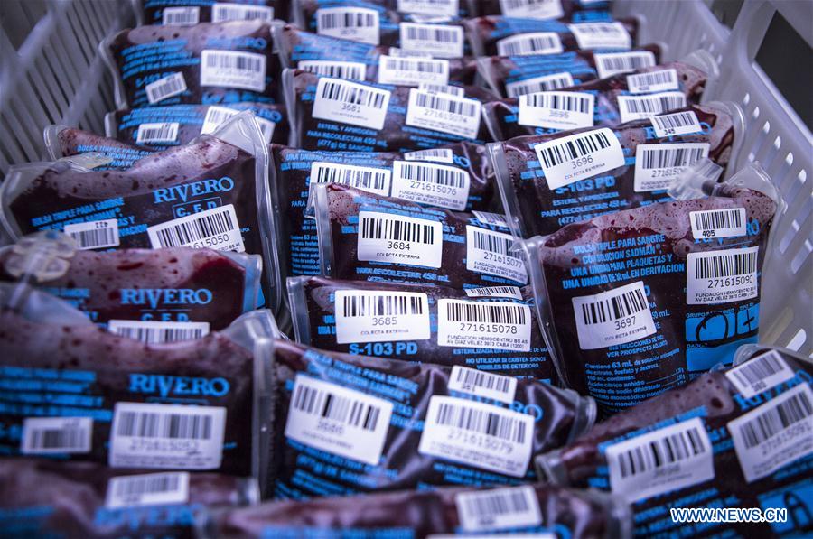 Image taken on June 10, 2016 shows bags with donated blood that will be divided in red globules, plasma and platelets in the laboratory of the Buenos Aires 'Hemocentro' (Blood Center) Foundation, in Buenos Aires, capital of Argentina.