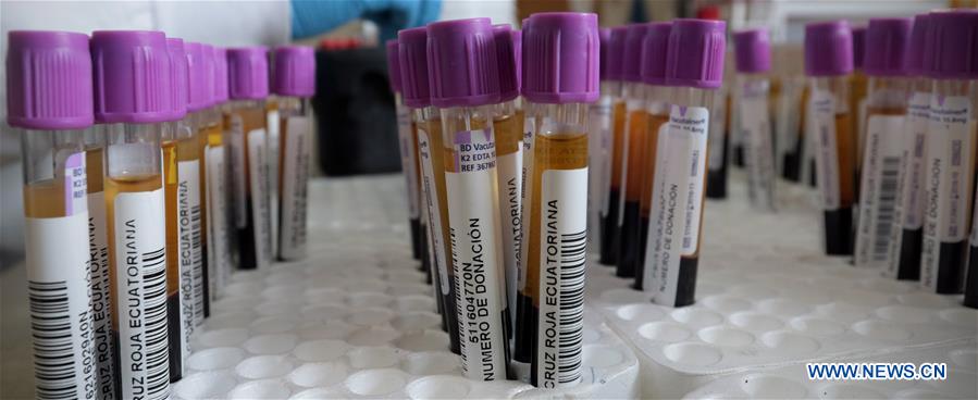 Image taken on June 11, 2016 shows test tube with donor blood that will be analysed in the lab of the Ecuadorian Red Cross, in Quito, Ecuador.