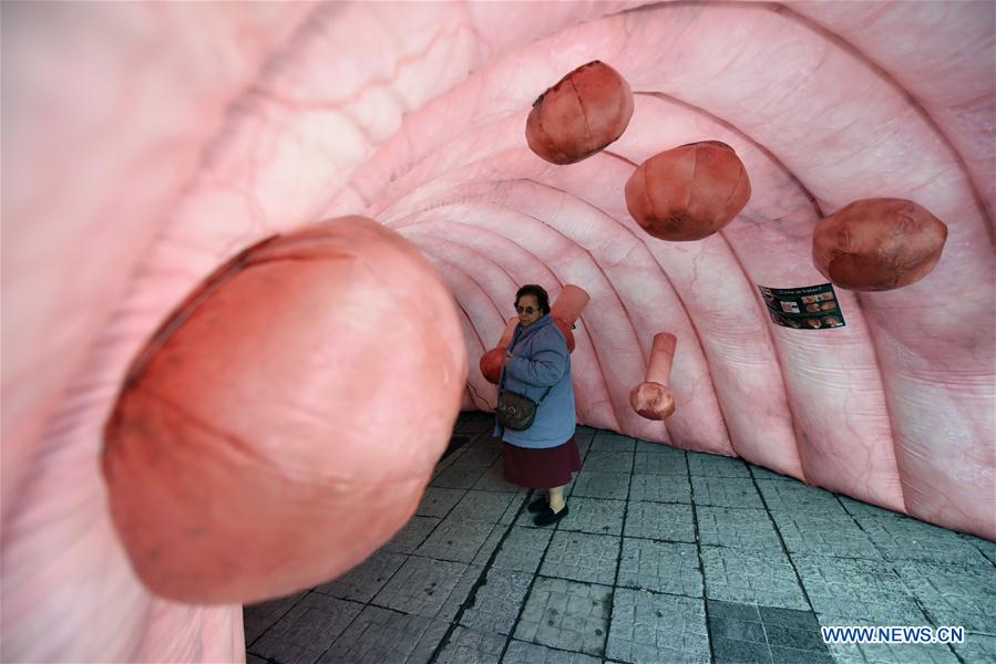 People visit an installation which represents a 'giant colon' as part of a cancer prevention campaign, in Montevideo, capital of Uruguay, on June 16, 2016.