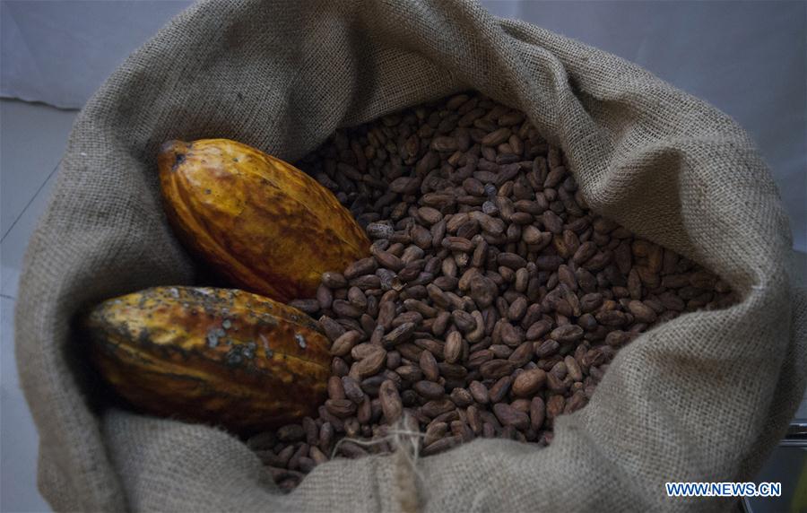 Cacao is displayed during the 8th Chocolate Fair at the Exhibition Center in Quito, Ecuador, on June 19, 2016.