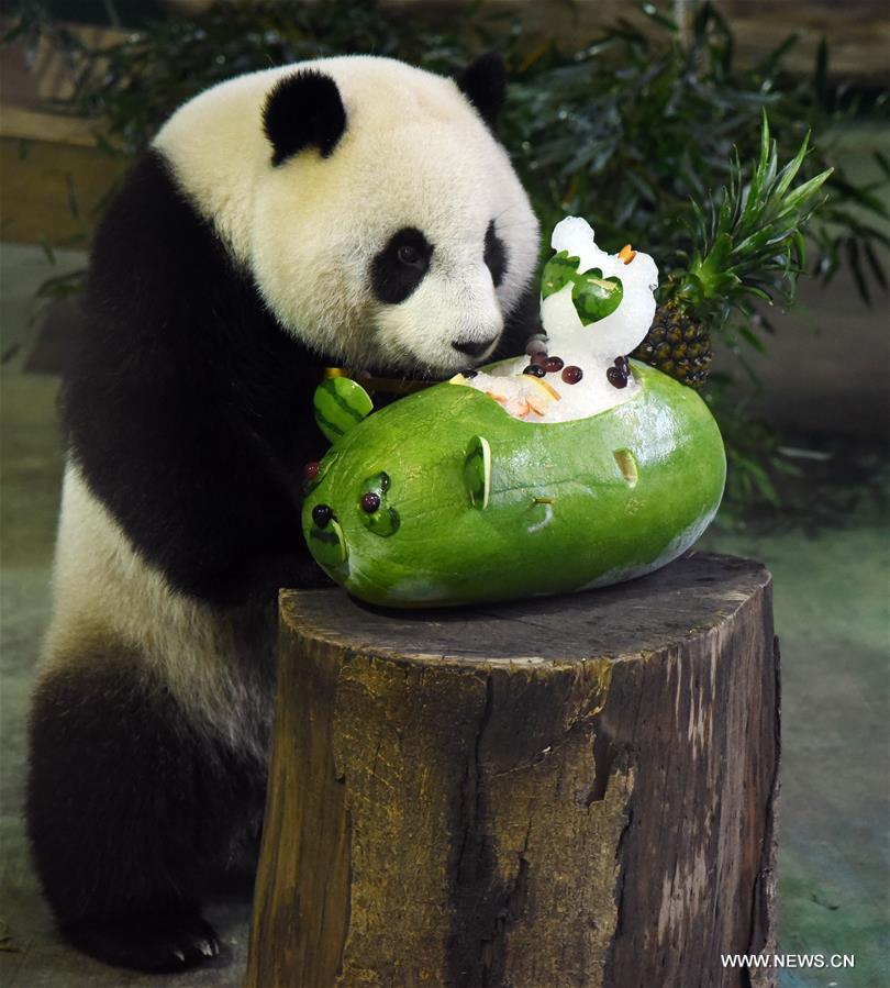 #CHINA-TAIPEI-GIANT PANDA-BIRTHDAY (CN) 