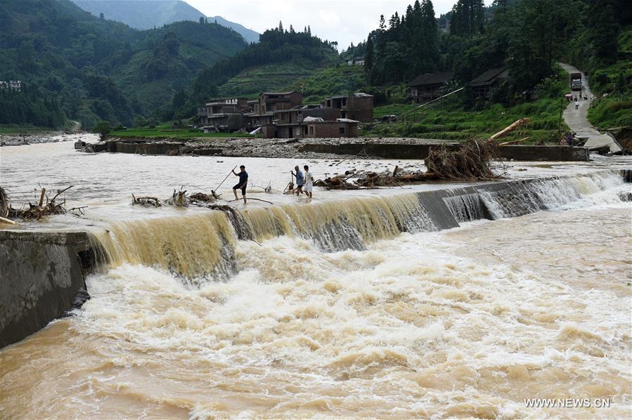 Torrential rainfall on July 3 and 4 has affected 29,032 people and over 700 hectares of crops, damaged 64 houses, 15 roads and four hydropower stations in Luocheng by Wednesday evening. 