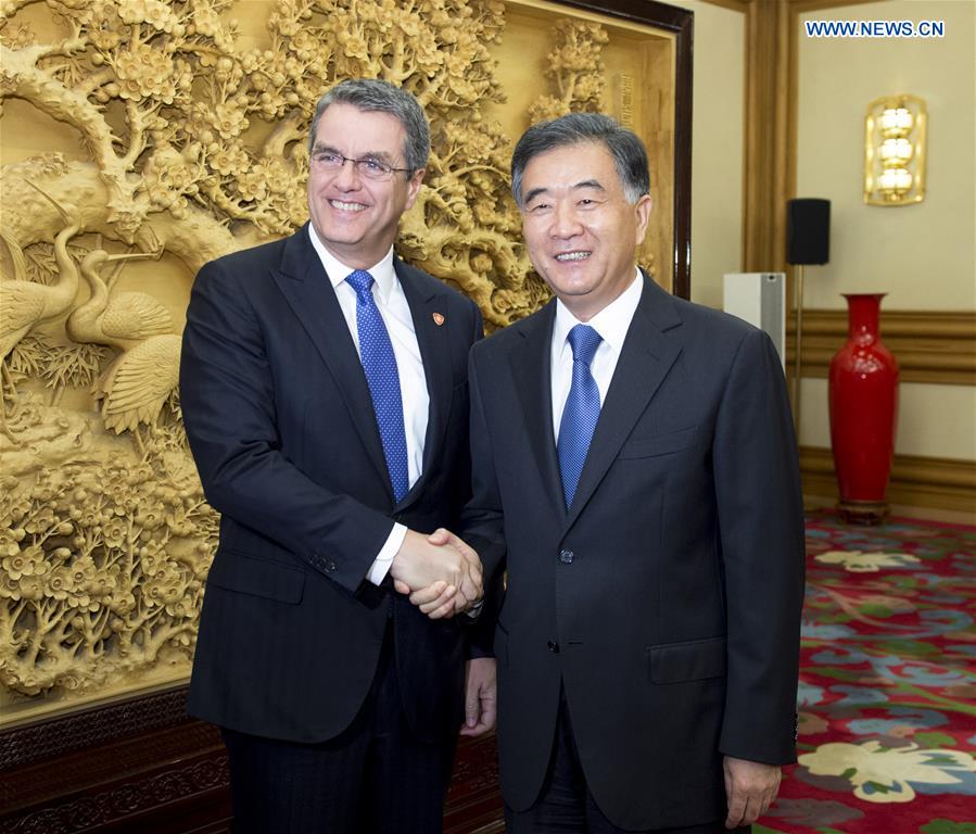 CHINA-BEIJING-WANG YANG-WTO-MEETING (CN)