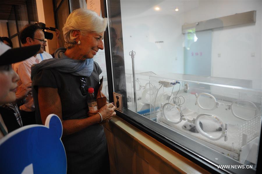 Christine Lagarde, managing director of the International Monetary Fund (IMF), pays a visit to Chengdu Research Base of Giant Panda Breeding, southwest China's Sichuan Province, July 24, 2016. (Xinhua)
