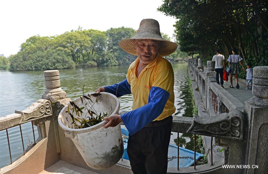 People called him 'beautician' of the Donghu Lake.